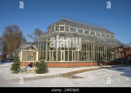 Gewächshaus Afrikanische Sukkulenten, Botanischer Garten, Lichterfelde, Steglitz-Zehlendorf, Berlin, Deutschland Stockfoto