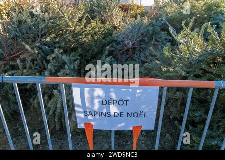 Der Weihnachtsbaumpark diente dazu, die Nadelbäume der Dorfbewohner zu sammeln, um wertgeschätzt und recycelt zu werden. Display: Weihnachtsbaumdepot Stockfoto