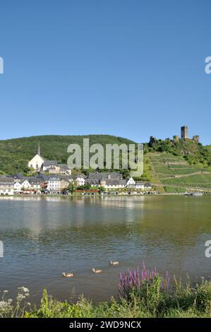 Berühmtes Weindorf Beilstein an der Mosel im Moseltal--Rheinland-Pfalz--Deutschland Stockfoto