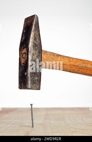 Hammernagel in eine Holzplanke auf weißem Hintergrund geschlagen. Stockfoto