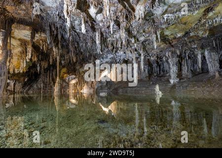 Unterirdischer Pool mit ruhigen Reflexen und Stalaktiten, die von der Decke in den Lehman Caves im Great Basin National Park hängen Stockfoto