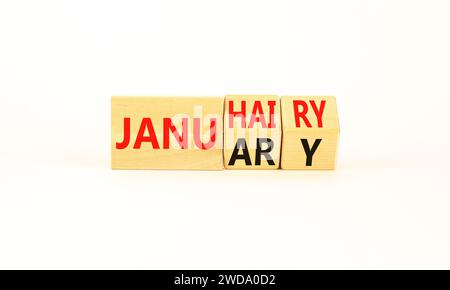 Januhairy oder Januar-Symbol. Konzeptworte Januhairy oder Januar auf schönen Holzblöcken. Schöner weißer Tisch mit weißem Hintergrund. Soziale Fragen Janu Stockfoto