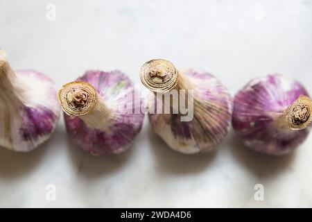 Frische, lebendige Knoblauchzwiebeln – perfekt, um Ihren Lieblingsgerichten Geschmack und Nährstoffe hinzuzufügen. Stockfoto