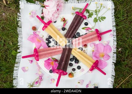 Hausgemachte, farbenfrohe, hausgemachte Eislollies auf Picknickdecke mit Bananen, Heidelbeeren und Erdbeeren, die im Garten serviert werden, im Sommer ein Familienerlebnis im Freien Stockfoto