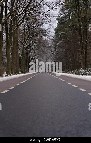 Vertikale Aufnahme einer langen, leeren Straße durch verschneiten Wald. Flacher Blick über eine Asphaltstraße mit schneebedeckten Bäumen. Niederländische Winterlandschaft Stockfoto