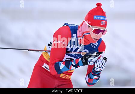 Oberhof, Deutschland. Januar 2024. Ansgar Evensen aus Norwegen bei der Cross-Country-Weltmeisterschaft in der klassischen Sprint-Disziplin. Quelle: Martin Schutt/dpa/Alamy Live News Stockfoto