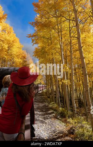 Fahrt mit der Cumbres & Toltec Scenic Railroad durch die Aspens von Chama, New Mexico Stockfoto