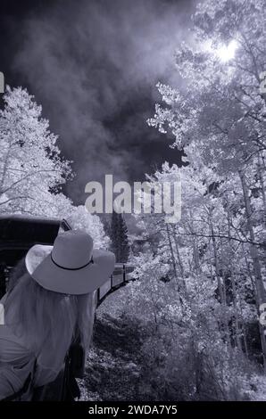 Fahrt mit der Cumbres & Toltec Scenic Railroad durch die Aspens von Chama, New Mexico Stockfoto