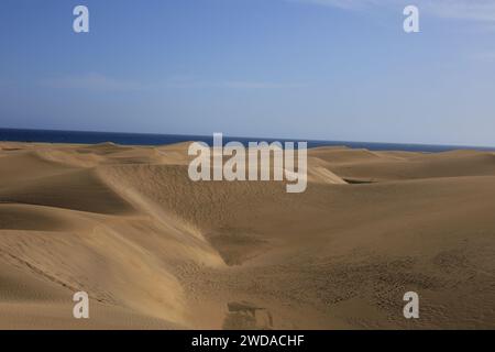 Die Maspalomas Dunes sind Sanddünen an der Südküste der Insel Gran Canaria, Provinz Las Palmas auf den Kanarischen Inseln Stockfoto