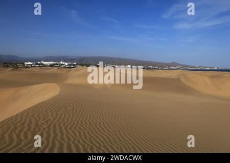 Die Maspalomas Dunes sind Sanddünen an der Südküste der Insel Gran Canaria, Provinz Las Palmas auf den Kanarischen Inseln Stockfoto