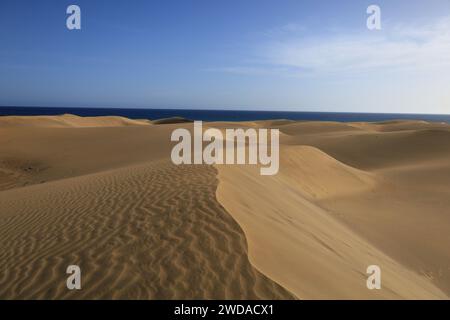 Die Maspalomas Dunes sind Sanddünen an der Südküste der Insel Gran Canaria, Provinz Las Palmas auf den Kanarischen Inseln Stockfoto