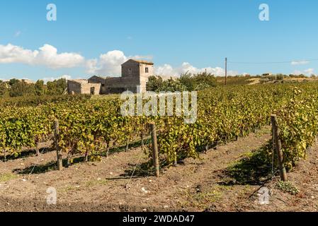 Landschaft Siziliens mit den Weinbergen des Campobello di Licata in der Provinz Agrigento, Italien Stockfoto