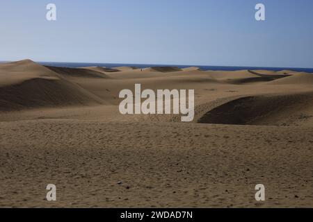 Die Maspalomas Dunes sind Sanddünen an der Südküste der Insel Gran Canaria, Provinz Las Palmas auf den Kanarischen Inseln Stockfoto