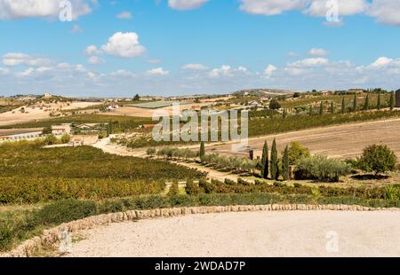 Landschaft Siziliens mit den Weinbergen des Campobello di Licata in der Provinz Agrigento, Italien Stockfoto