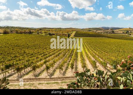 Landschaft Siziliens mit den Weinbergen des Campobello di Licata in der Provinz Agrigento, Italien Stockfoto