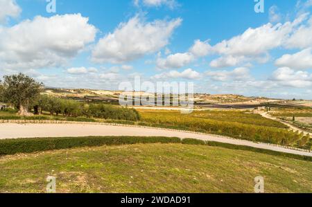 Sizilianische Landschaft mit Olivenbäumen und Hügeln des Campobello di Licata in der Provinz Agrigento, Italien Stockfoto