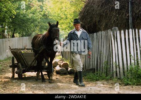 Vrancea County, Rumänien, ca. 1995. Bauer auf der Dorfstraße mit einem Pferdewagen. Stockfoto