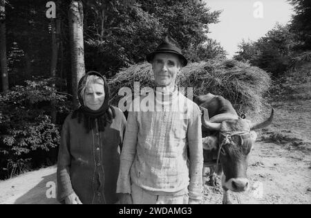 Vrancea County, Rumänien, ca. 1991. Bauer auf der Dorfstraße mit einem mit Heu gefüllten Viehkarren. Stockfoto