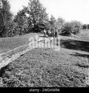 Vrancea County, Rumänien, ca. 1978. Bauern auf einem unbefestigten Weg mit einem Viehkarren. Stockfoto