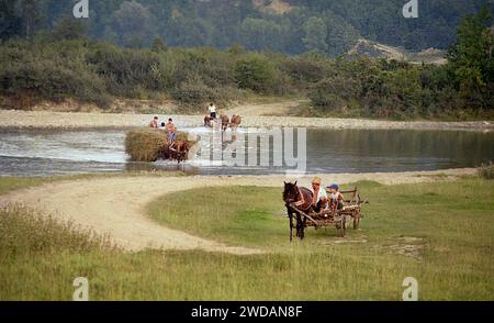 Vrancea County, Rumänien, ca. 1995. Einheimische in einem Pferdewagen mit Heu, der den Fluss Putna überquert. Stockfoto