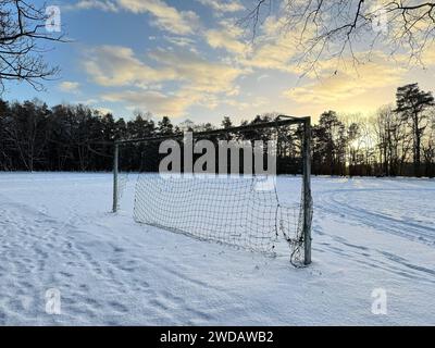 Stock- und Symbolbilder I 19.01.2024 Wiintereinbruch Hamburg Hamburg Hamburg Deutschland *** Stock- und Symbolbilder I 19 01 2024 Wintereinbruch Hamburg Hamburg Hamburg Hamburg Deutschland Copyright: XLobeca/FelixxSchlikisx Stockfoto