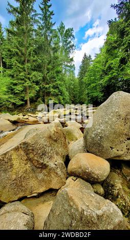 Atemberaubende Landschaft - vor dem Hintergrund eines grünen Waldes fließt ein Gebirgsfluss, der durch riesige Bergsteine und Felsbrocken fließt, die vom Boden gefallen sind Stockfoto