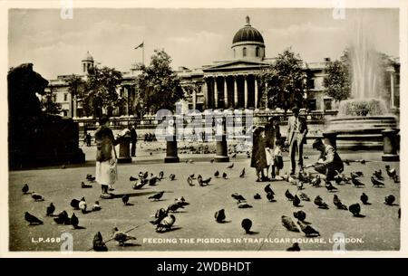 Schwarzweiß-Postkartenansicht der Menschen, die Tauben füttern, aus den 1950er Jahren vor der National Gallery, Trafalgar Square, London, mit Löwenstatue und Brunnen. Stockfoto