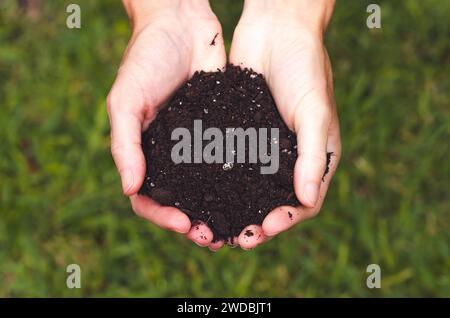 Weibliche Hände, die Boden auf grünem Gras halten, Draufsicht. Earth Day-Konzept. Stockfoto