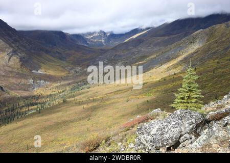 Im Tombstone Territorialpark Stockfoto