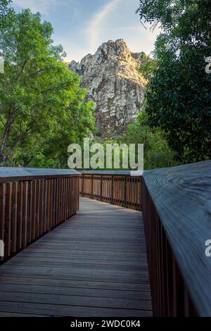 Guarda, Portugal - 10. April 2023: Blick auf die Mondego-Wege zwischen Bäumen mit einem imposanten felsigen Berg im Hintergrund teilweise von der L Stockfoto