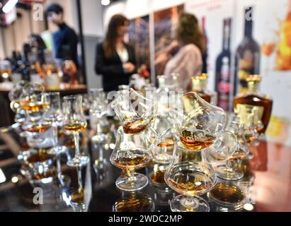 Berlin, Deutschland. Januar 2024. Das Foto wurde am 19. Januar 2024 aufgenommen und zeigt Brandy, der während der Internationalen Grünen Woche in Berlin ausgestellt wurde. Die Internationale Grüne Woche, eine Leitmesse für Lebensmittel, Landwirtschaft und Gartenbau, wurde am Freitag in Berlin eröffnet und läuft bis 28. Januar. Quelle: Ren Pengfei/Xinhua/Alamy Live News Stockfoto