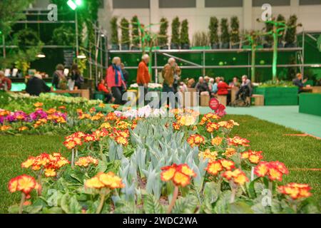 Berlin, Deutschland. Januar 2024. Während der Internationalen Grünen Woche am 19. Januar 2024 in Berlin besuchen Menschen einen Ausstellungsbereich. Die Internationale Grüne Woche, eine Leitmesse für Lebensmittel, Landwirtschaft und Gartenbau, wurde am Freitag in Berlin eröffnet und läuft bis 28. Januar. Quelle: Ren Pengfei/Xinhua/Alamy Live News Stockfoto