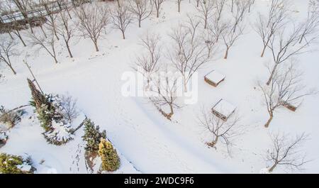 Aus der Vogelperspektive auf Bäume und Picknicktische, die mit Schnee bedeckt sind, in einem schneebedeckten öffentlichen Park in Südkorea Stockfoto