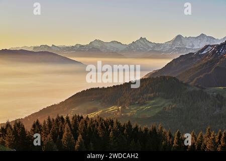 Blick vom Gurnigelpass über das Nebelmeer hinter Schreckhorn, Eiger, Mönch, Kanton Bern, Schweiz Stockfoto