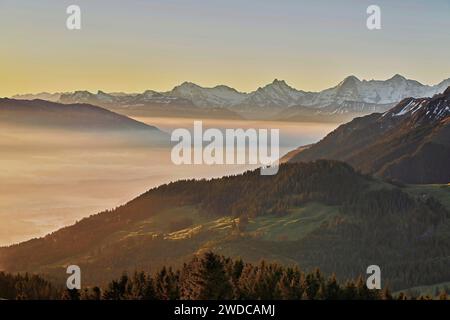 Blick vom Gurnigelpass über das Nebelmeer hinter Schreckhorn, Eiger, Mönch, Kanton Bern, Schweiz Stockfoto
