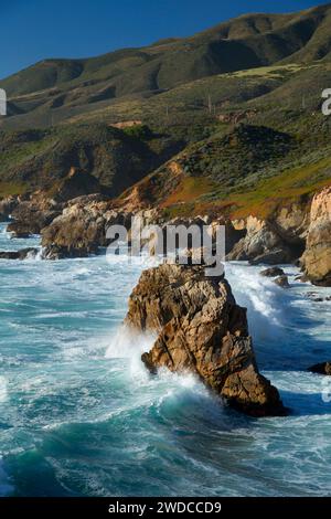 Felsenküste, Garrapata State Park, Big Sur Coast Highway Scenic Byway, Kalifornien Stockfoto