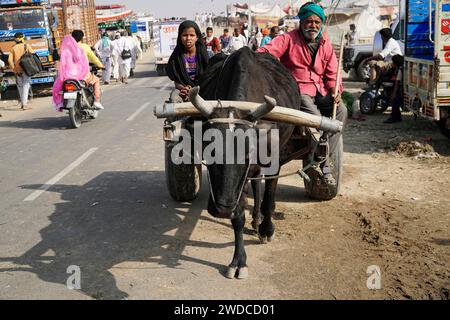 Kamelmarkt, Messe, Menschen, Hochzeitsmarkt, Tiere, Wüstenstadt Pushkar, (Pushkar Kamal Fair) Rajasthan, Nordindien, Indien Stockfoto