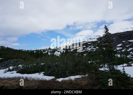 Die Berge Alaskas und des Yukon wurden im MAI 2017 aufgenommen Stockfoto