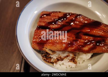 Nahansicht, Unagi Don, japanischer gegrillter Aal mit Teriyaki-Sauce serviert mit Reis. Stockfoto