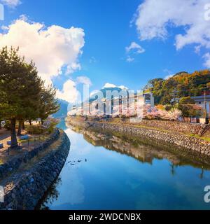 Kyoto, Japan - 1. April 2023: Präfekturaler Uji Park mit voller Kirschblüte ist das Symbol der Stadt Uji mit schöner Landschaft der Stadt und PR Stockfoto