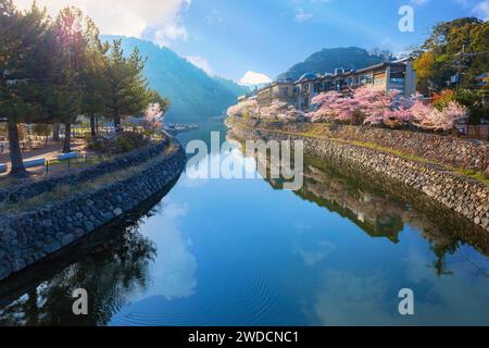 Kyoto, Japan - 1. April 2023: Präfekturaler Uji Park mit voller Kirschblüte ist das Symbol der Stadt Uji mit schöner Landschaft der Stadt und PR Stockfoto