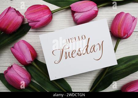 Hello Tuesday Karte mit Tulpenblume auf hölzernem Hintergrund Stockfoto