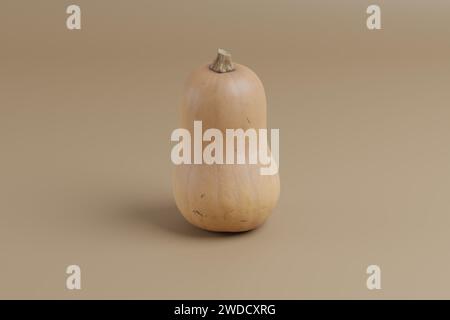 Foto von Butternut Squash auf solidem Hintergrund Stockfoto