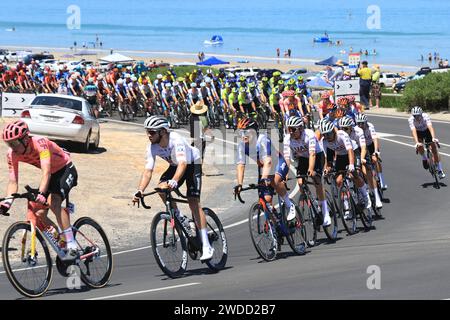 Fahrer, die an der Esplanade in Aldinga in der 5. Etappe des Tour Down Under Radrennens 2024 in Adelaide Australien teilnehmen Foto Russell Mountford/Alamy Live News Stockfoto