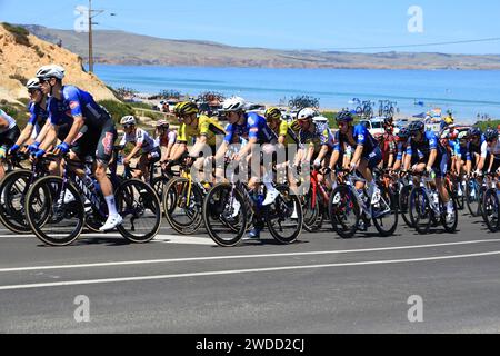 Fahrer, die an der Esplanade in Aldinga in der 5. Etappe des Tour Down Under Radrennens 2024 in Adelaide Australien teilnehmen Foto Russell Mountford/Alamy Live News Stockfoto