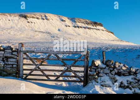 Ein Tor in einer Trockenwand, mit Pen-y-gent im Hintergrund. An einem Wintertag im Yorkshire Dales National Park in England, mit Schnee. Stockfoto