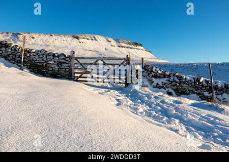 Ein Tor in einer Trockenwand, mit Pen-y-gent im Hintergrund. An einem Wintertag im Yorkshire Dales National Park in England, mit Schnee. Stockfoto