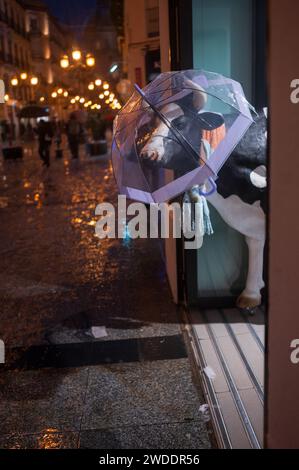 Saragossa ist vom Sturm Juan mit Schnee bedeckt Stockfoto