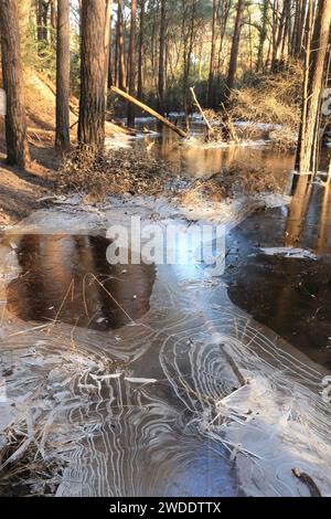 Interessante Eismuster auf gefrorenem Wasser, das sich in einer natürlichen Höhle in Wareham Großbritannien gesammelt hat. Kalter Morgenspaziergang in Großbritannien Stockfoto