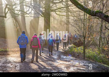 Ältere, pensionierte OAP-Mitglieder einer U3A-Wandergruppe, die sich fit und aktiv auf einem Winterspaziergang durch den Styal Country Park Cheshire England hielten Stockfoto